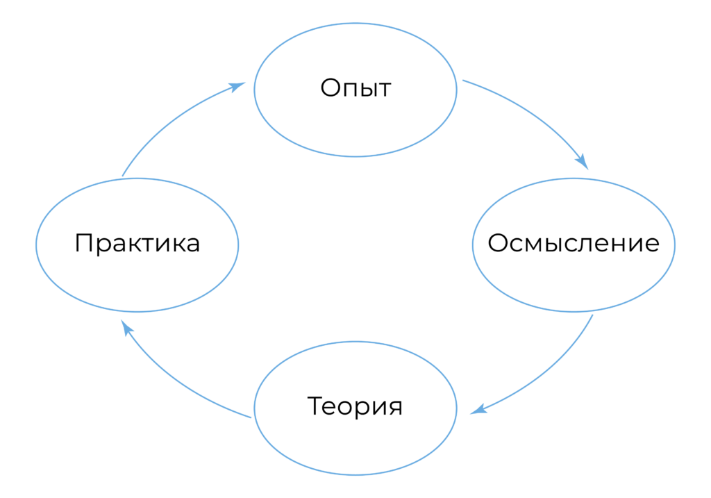 цикл Колба